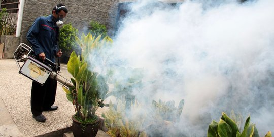 Bahaya demam berdarah, pemukiman Kalidoni Palembang difogging