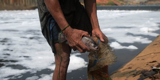 Menjala ikan di tengah Kanal Banjir Timur yang tercemar