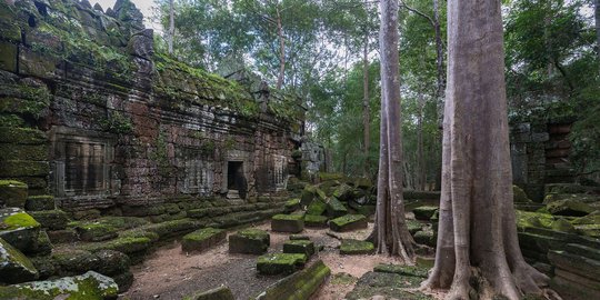 Ta Nei, kembaran Ta Prohm Angkor Wat yang simpan keindahan masa lalu