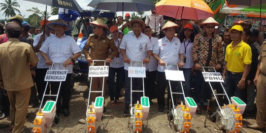 Dukung gerakan menanam jagung, BNI kucurkan KUR Rp 25 juta per debitur