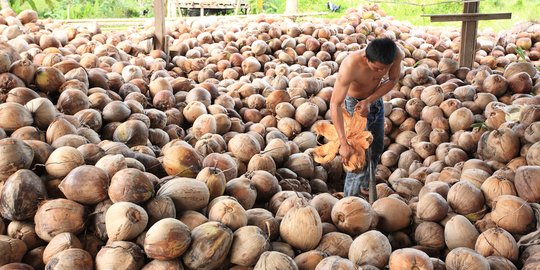 Warga India gandrungi bungkil kopra asal Indonesia