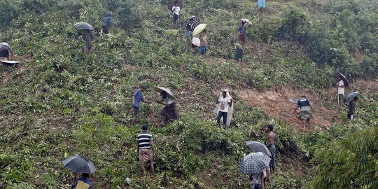 Gotong-royong pengungsi Rohingya bangun kamp di lereng bukit