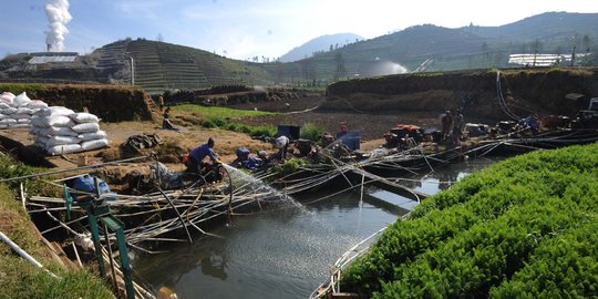 Kemarau, petani di Dieng harus berebut air untuk sirami ladang