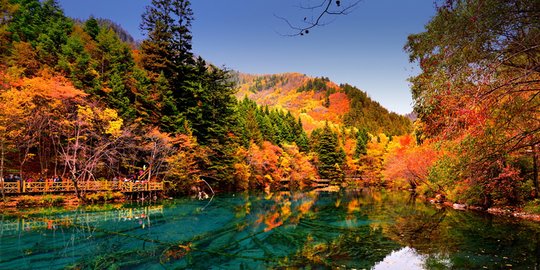 Indah bak lukisan, panorama lembah Jiuzhaigou di musim gugur