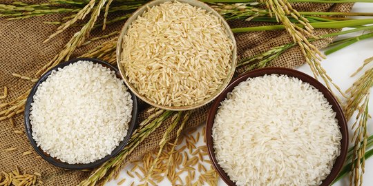 Ini penyebab bergejolaknya harga beras di Indonesia versi Ombudsman