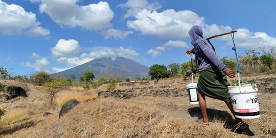 Potret petani Karangasem nekat beraktivitas di tengah status awas Gunung Agung