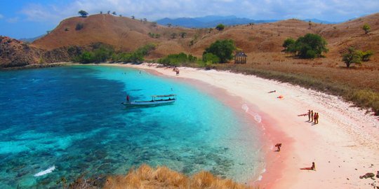 Romantisme Pink Beach, surga tropis merah jambu di Pulau Komodo