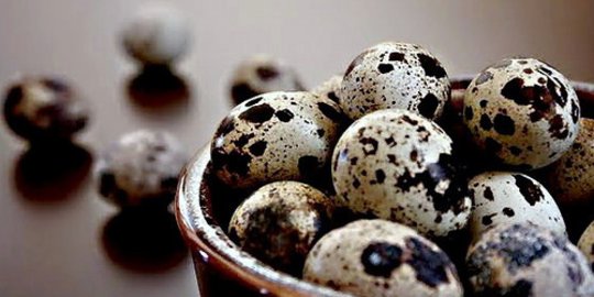 3 Jenis telur ini wajib kamu konsumsi untuk kesehatan tubuh
