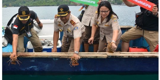 BKIPM berikan perlindungan keberlanjutan usaha sektor perikanan