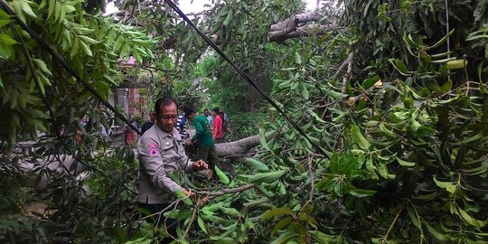 Pohon tumbang di Bogor menimpa mobil dan motor, 2 orang terluka