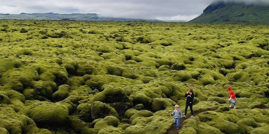 3 Cara Membuat Minyak Kemiri Sendiri Di Rumah Dengan Mudah Merdeka Com 3 Cara Membuat Minyak Kemiri Sendiri Di Rumah Dengan Mudah Merdeka Com