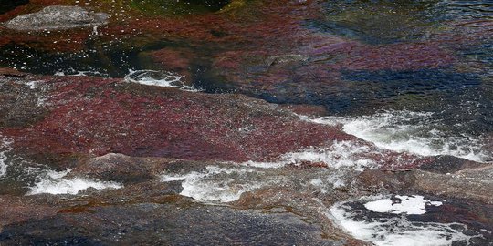 Menyusuri keindahan Sungai Lima Warna