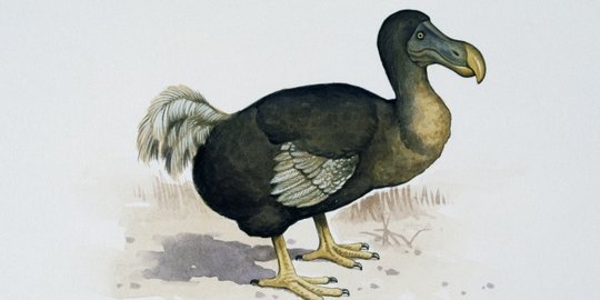 7 Binatang Punah Yang Ingin Dibangkitkan Kembali Oleh Ilmuwan