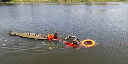 Ratusan warga terkecoh boneka buaya mengambang di Sungai Porong