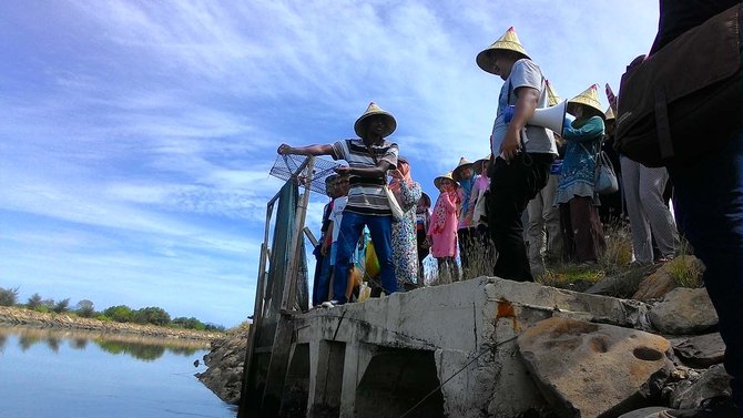 turis berburu kepiting di gampong pande