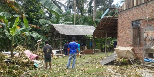 Angin puting beliung di Bengkalis, pohon durian timpa rumah warga