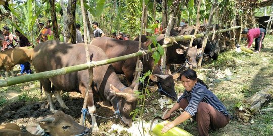 Bantu pengungsi Gunung Agung, UGM dirikan posko untuk 