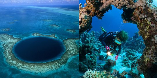 reef