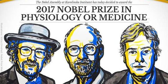 Tiga ilmuwan ini dapat hadiah Nobel berkat penelitian tentang jam biologis tidur