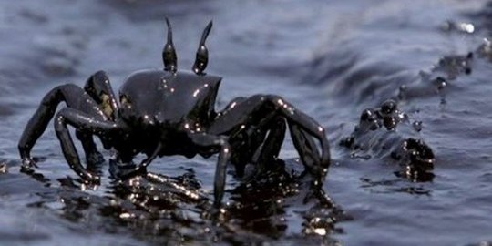 exxon valdez rev1