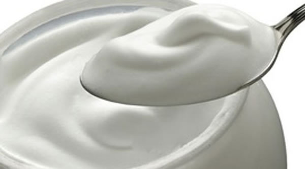 ilustrasi yogurt