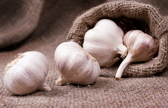  /><em>Ilustrasi bawang putih Shutterstock/Timmary</em></p>
<p>Bawang putih tidak hanya berguna sebagai bumbu dapur saja. Meskipun baunya yang tidak enak atau menyengat, bawang putih memiliki banyak manfaat yang baik untuk kesehatan tubuh. Salah satunya adalah sebagai cara mengobati ambeien. Bawang putih banyak mengandung gizi penting yang dibutuhkan oleh tubuh seperti vitamin C, kalsium, besi, karbohidrat, serat, allicin, dan sulfida alili. Kandungan terbesar dalam bawang putih adalah allicin. Kandungan ini memiliki manfaat penting sebagai anti-oksidan dan anti-bakteri. Maka tidak salah jika bawang putih merupakan cara mengobati ambeien yang efektif.</p>
<p>Cara mengobati ambeien dengan bawang putih mudah saja :</p>
<p><ol>
<li>Tumbuk halus 2 siung bawang putih</li>
<li>Oleskan pada benjolan yang ada di sekitar anus</li>
<li>Untuk melawan bakteri dari dalam, Anda bisa menggunakannya dengan cara meminum jus bawang putih setiap hari</li>
<li>Baik mengoleskan pada benjolan ataupun meminumnya harus dilakukan dengan rutin agar benjolan ambeien segera kempes.</li>
<li></li>
</ol></p></amp-layout><amp-layout class=