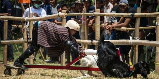 Dua pemuda di Bekasi diamuk massa karena mencuri kambing