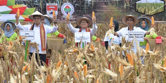 KTM Mesuji jadi model korporatisasi petani