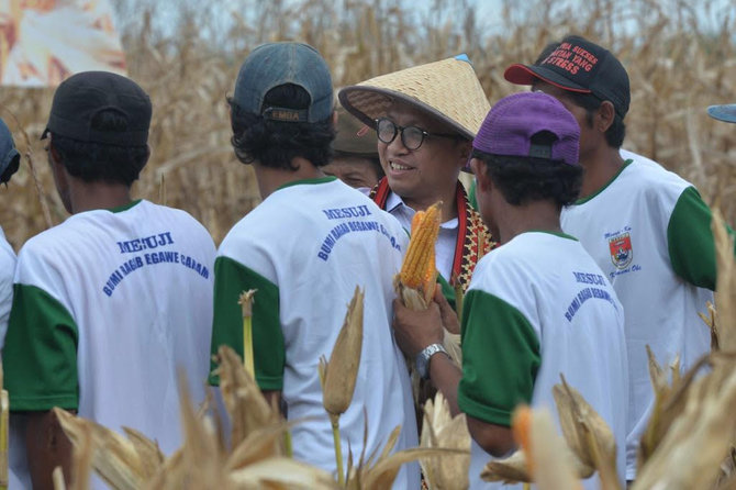 ktm mesuji jadi contoh korporatisasi petani