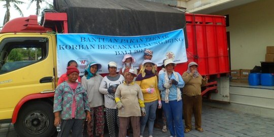 Fakultas Peternakan UGM kirim pakan ternak untuk pengungsi Gunung Agung