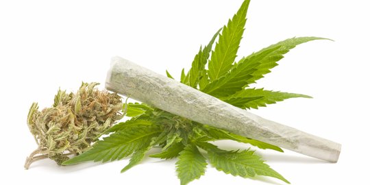 Karyawan tambang di Kutai Timur kedapatan simpan 600 gram ganja
