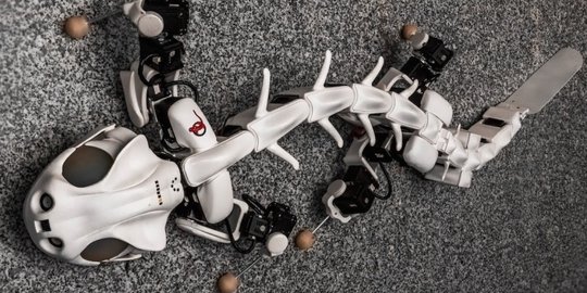 7 robot canggih yang terinspirasi dari alam