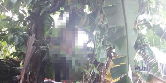 Buang bangkai tikus, Sofian kaget temukan mayat di pohon jambu