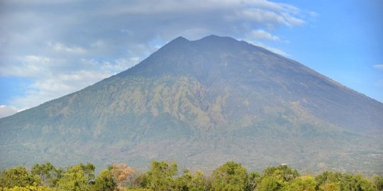 Selamatkan aset peternak Gunung Agung, Japfa kirim 74 ton pakan ternak