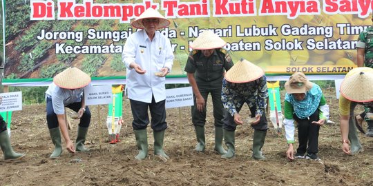 Petani ogah tanam kedelai, produsen tempe Sumbar krisis bahan baku