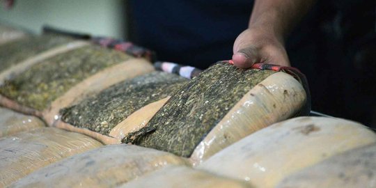 Jasa pengiriman gagalkan penyelundupan 19 kg ganja dari Aceh