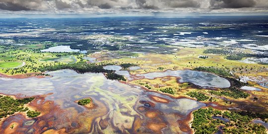 Pantanal, surga tropis yang lebih kaya satwa liar daripada Amazon