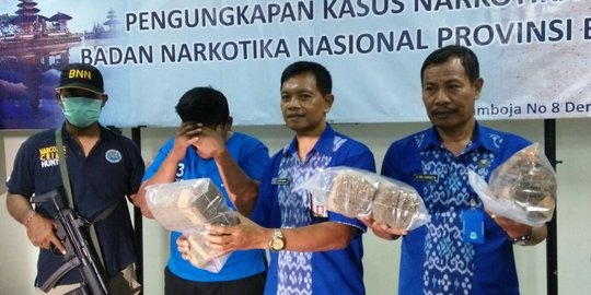 Nyambi jadi kurir ganja, pedagang sate ini ditangkap petugas BNN