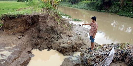 Banjir bandang merusak rumah warga dan area sawah di Jembrana