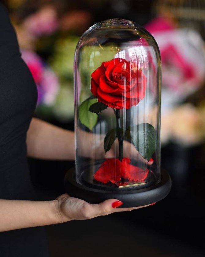 15 Fakta Unik Dan Menarik Tentang Si Cantik Bunga Mawar
