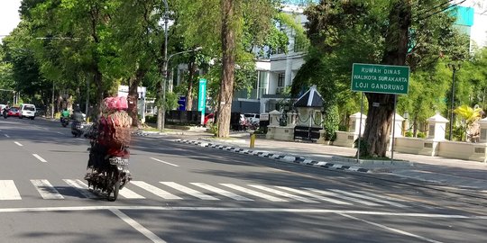 Ratusan pohon rawan tumbang di jalan protokol Kota Solo