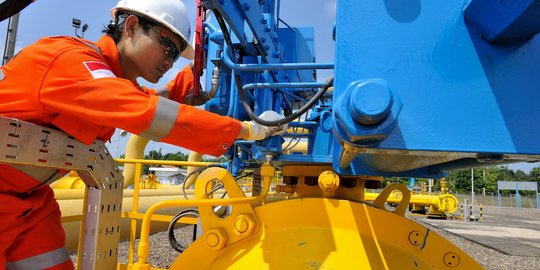 November, PGN dan Pertagas mulai bangun pipa gas Duri-Dumai