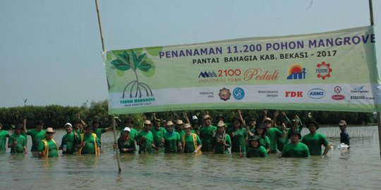 Jaga lingkungan, Bekasi Fajar Industrial Estate tanam belasan ribu pohon mangrove