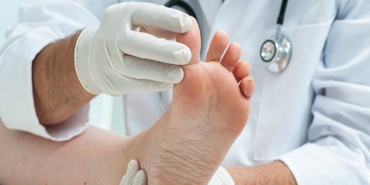 kaki
