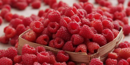 Yuk, kenalan dengan raspberry dan dapatkan 4 manfaat sehat ini