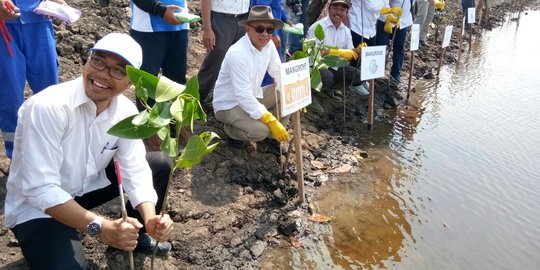 Pemerintah optimalkan lahan tambak di Muara Gembong 