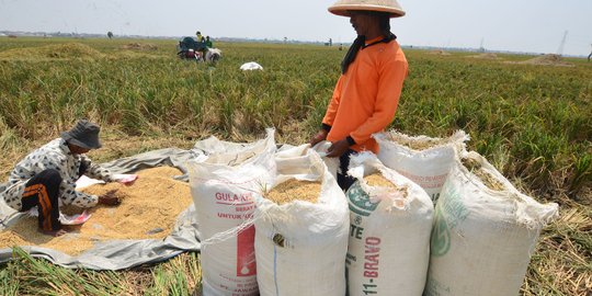 Pemerintah dorong program kemitraan tingkatkan pemberdayaan petani