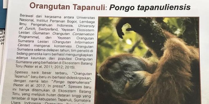 Menteri LHK lapor Jokowi soal penemuan spesies baru 
