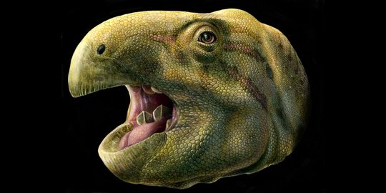 Spesies dinosaurus baru ini memiliki gigi seperti gunting