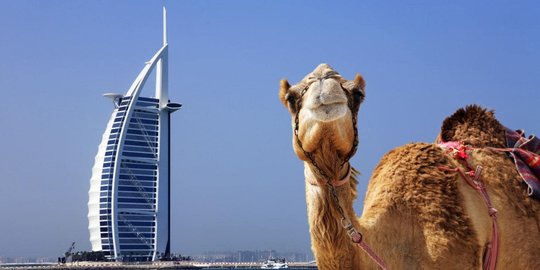 Lowongan kerja di Dubai tanpa syarat kualifikasi, gaji Rp 290 juta sebulan